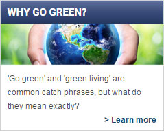 why-green-widget